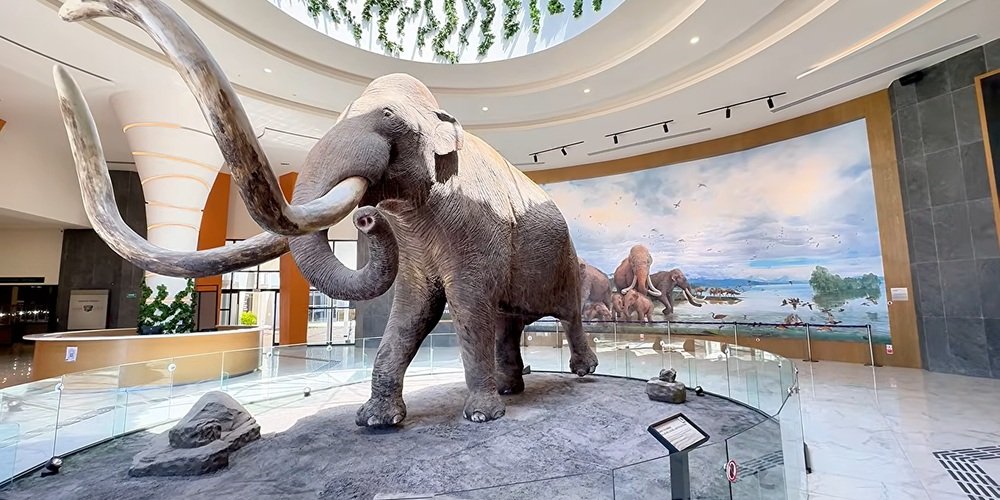 Museo del Mamut Santa Lucia