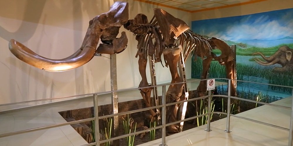 Museo del Mamut Tultepec